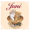 Juni