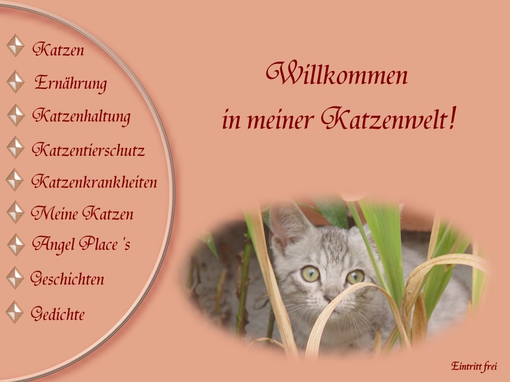 Eingang zur Page
