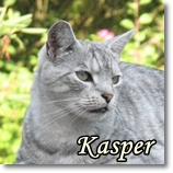 Kasper