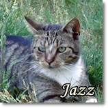 Jazz