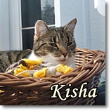 Kisha