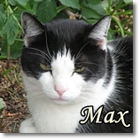 Max