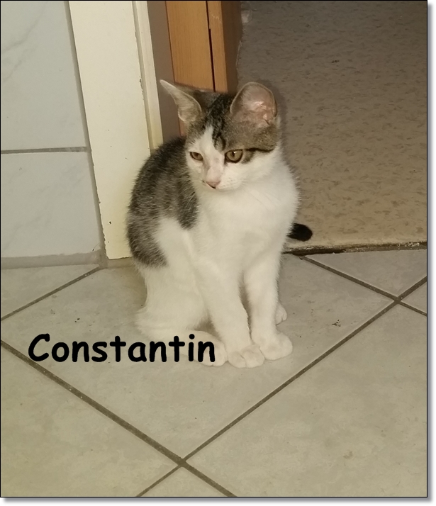 Constantin