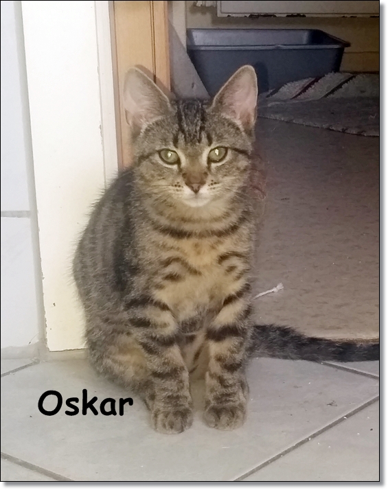 Oskar