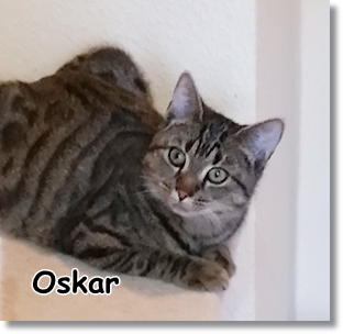 Oskar