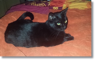 Francine